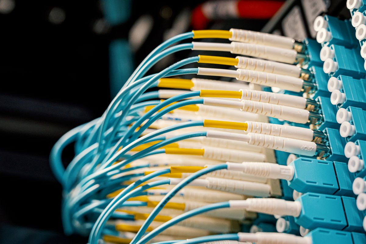 Netværkskabler tilsluttet et patchpanel, close-up, illustrationsfoto